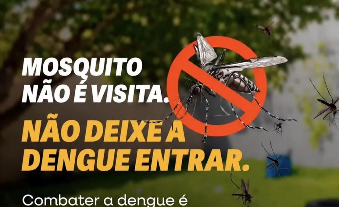 Mosquito não é visita. Não deixe a dengue entrar