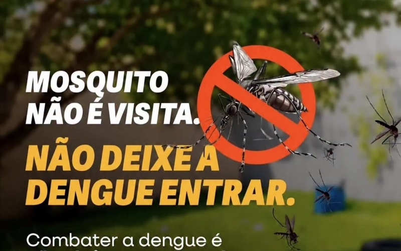 Mosquito não é visita. Não deixe a dengue entrar
