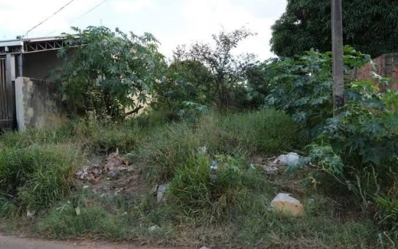 Foi publicado ontem, dia 10 de janeiro, a notificação coletiva que tem como objetivo a limpeza dos terrenos na cidade.