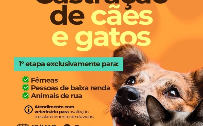 Neste sábado, dia 16 de março, acontece a primeira etapa da campanha de castração gratuita de cães e gatos de Itapagipe